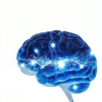 Aspen Publishing Medical Law Neuroscience eBook Second-0
