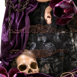Gothic Romance eBook Tattered Curtain Series – 418 Pages-0