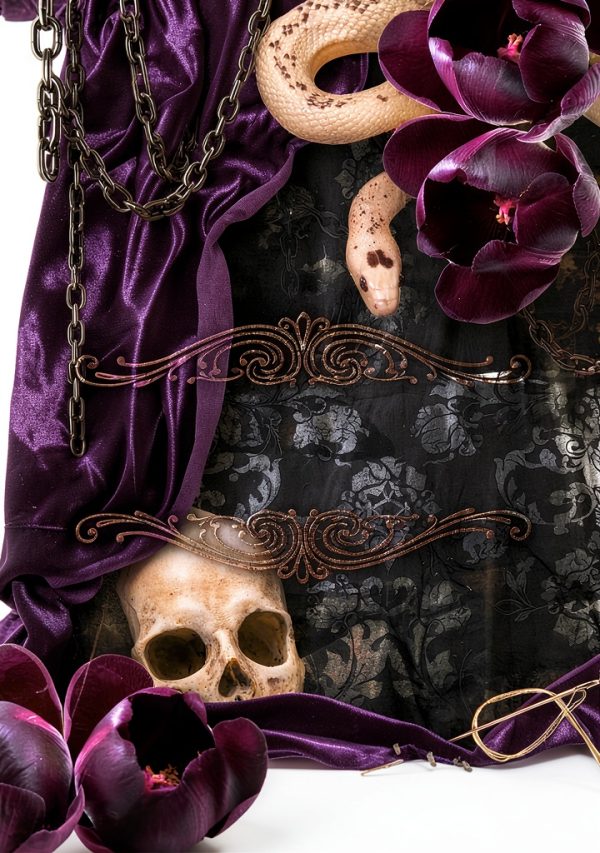 Gothic Romance eBook Tattered Curtain Series – 418 Pages-0